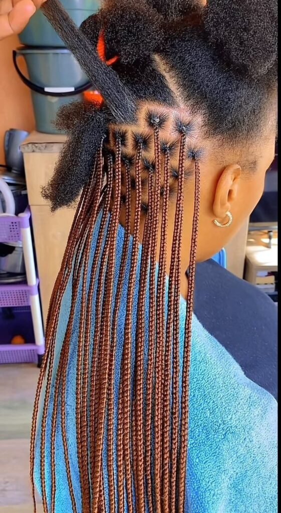 High-end Braided Hairstyle for Event