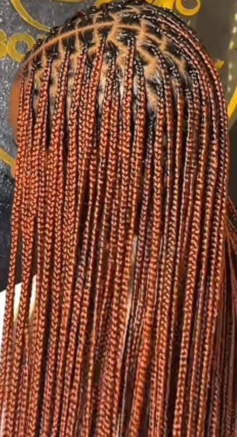 High-end Braided Hairstyle for Event
