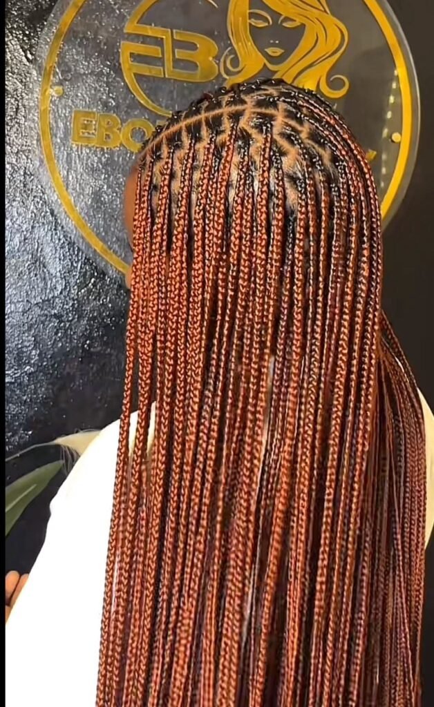 Braided Crowns Elegant African Hairstyle Ideas