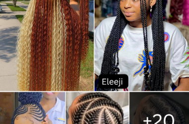 20 PHOTOS Gorgeous Hair Braid for Black Women