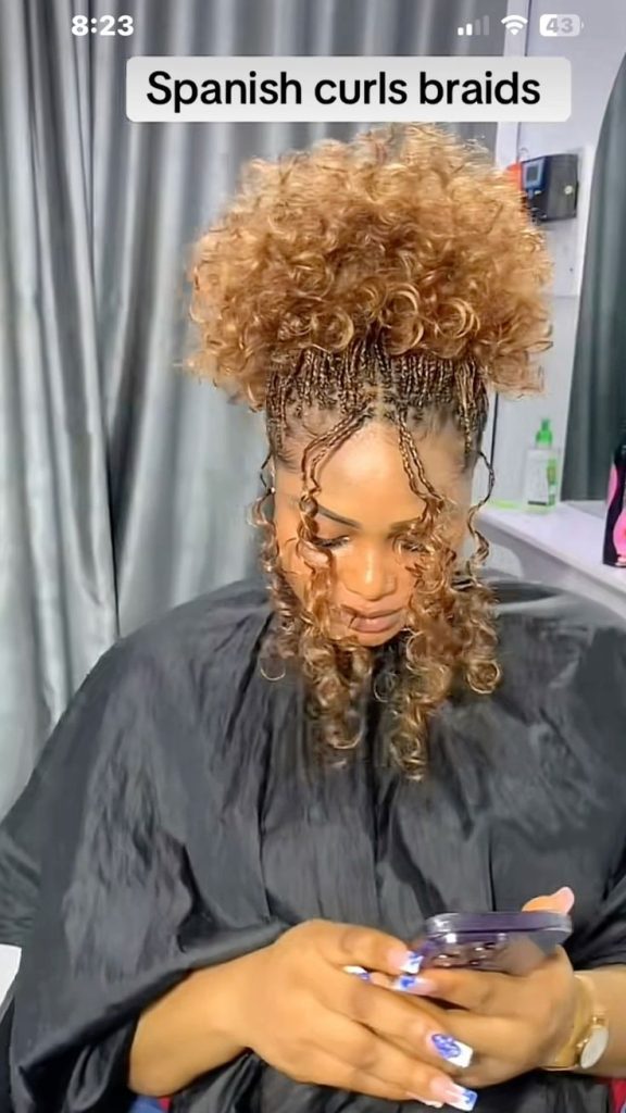 27 PHOTOS Updo Curl Braids Styles for Women