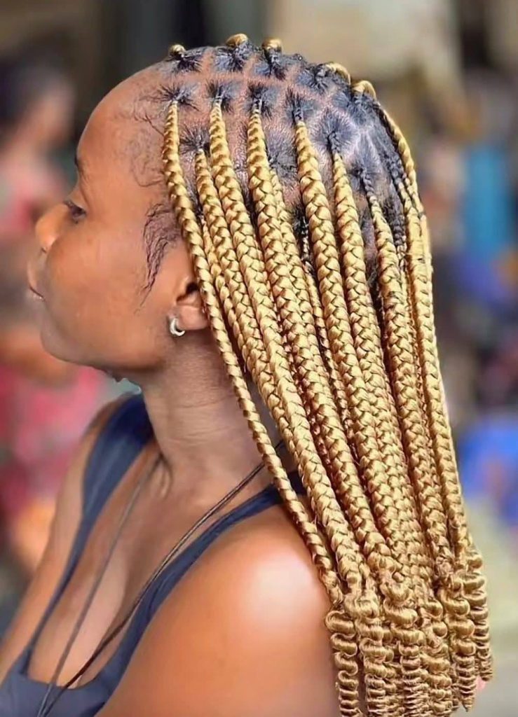 45 HAIRSTYLE Top-Rated Curly Braids Looks This Year