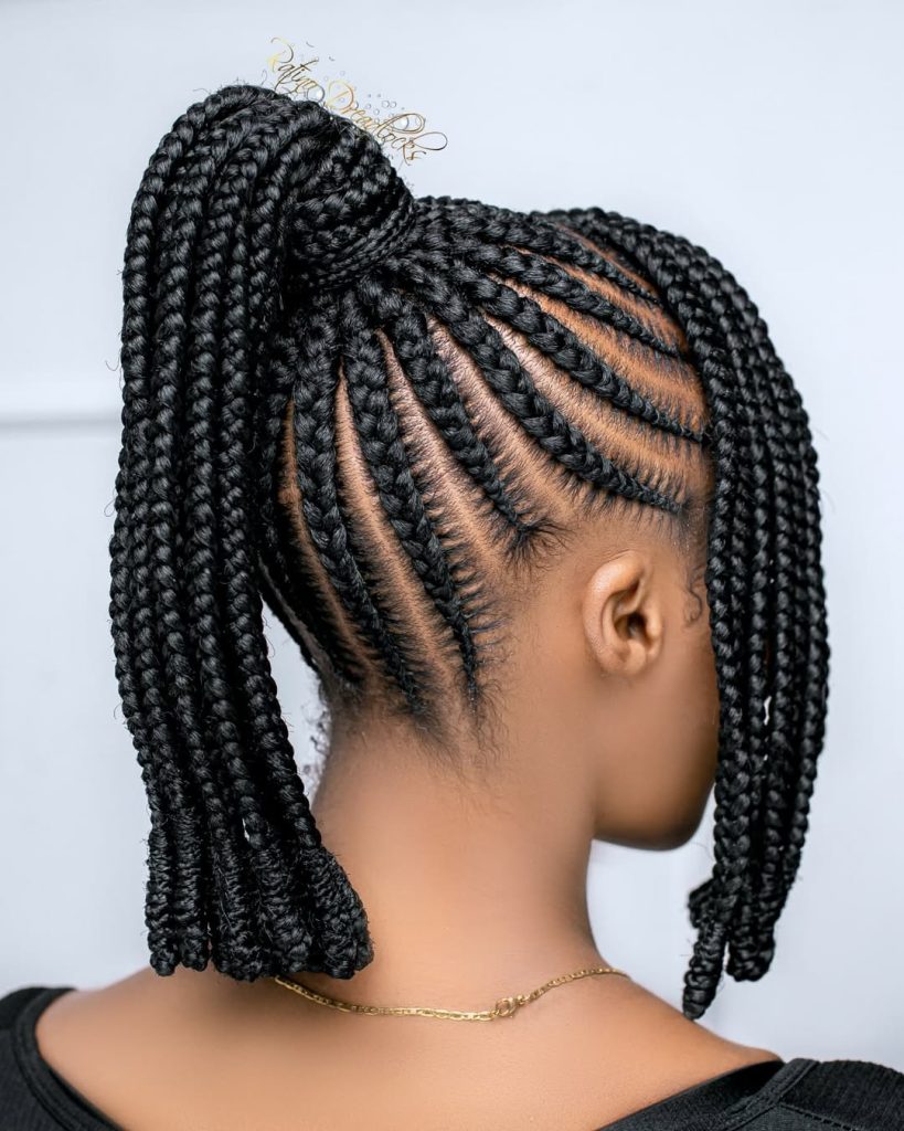 45 STYLES Elite Braids Hairstyle Collection